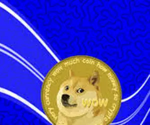 پیامی که شیبااینو را زیرو رو کرد!!