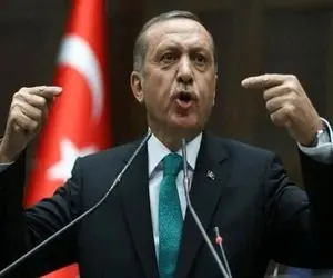 اردوغان: جنایات اسرائیل در غزه توسعه فلسطین را ۷۰ سال به‌ عقب انداخت