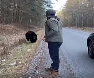 معماری طبیعت؛ یارو فک کرد اگه بی حرکت وایسه خرسه کاریش نداره ولی...