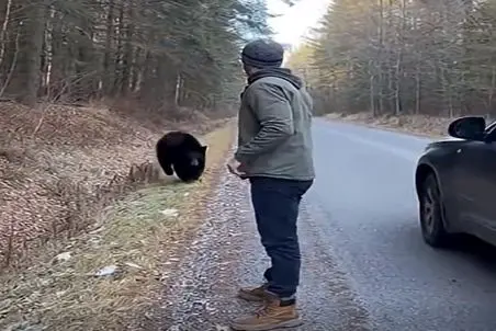 معماری طبیعت؛ یارو فک کرد اگه بی حرکت وایسه خرسه کاریش نداره ولی...