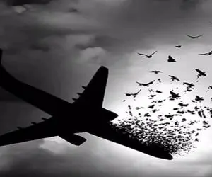 127 جان باخته هواپیمای اوکراینی شهید اعلام شدند