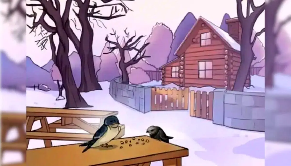 بازی-فکری-اشتباه-تصویری-پرنده-ها-در-زمستان