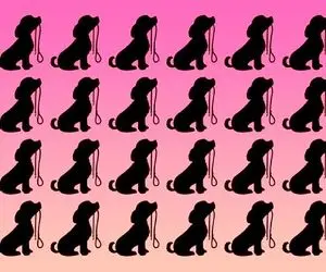 جدید ترین تست هوش تصویری با جواب؛ با یکم پروفسور بازی حلش کن و ثابت کن که خیلی باهوشی