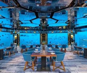 معماری خلاقانه؛ تو مالدیو یه رستوران شیشه ای زیر دریا ساختن انگار تو آکواریوم هستی