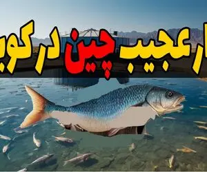 ساخت چین / ماهی‌پروری ۵۳۰ میلیون دلاری در کویر! وقتی چین از بیابان طلا ساخت