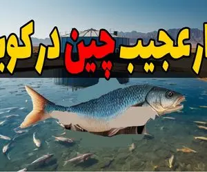 ساخت چین / ماهی‌پروری ۵۳۰ میلیون دلاری در کویر! وقتی چین از بیابان طلا ساخت