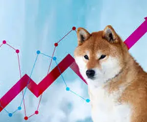 رکوردجدید شیبا چه کمکی به دارندگان می کند؟