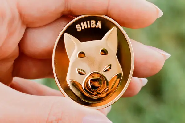 SHIBAINU