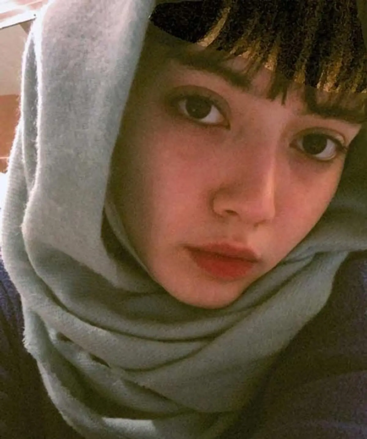 حدیث نظری جنگل آسفالت