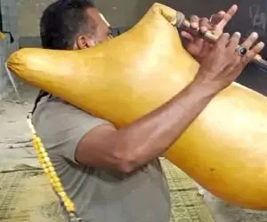 آواز محلی؛ مرد بندری با نی انبان یه ملت رو به رقص و نیناش آورد خودش رو ابراست