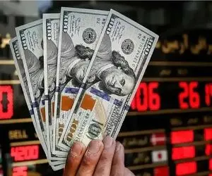 قیمت دلار امروز یکشنبه 13 مهر 1404؛ دلار در یک هفته چقدر گران شد؟