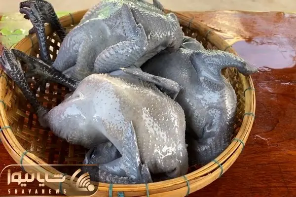 آشپزی با نیم وجبی