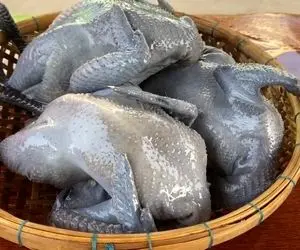 آشپزی با نیم وجبی ؛ همه چی شنیده بودم جز مرغ سیاه اونم سوپش/ دخترک چطور با ولع میخوره