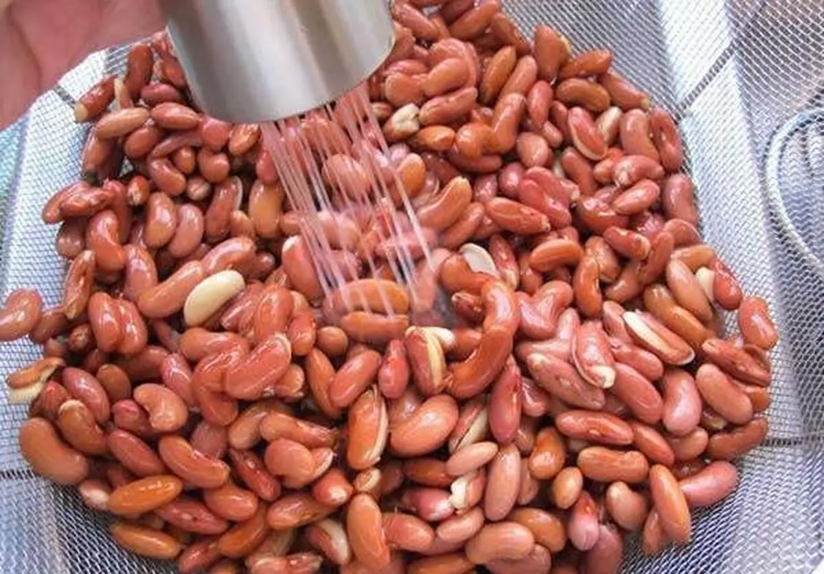 گرفتن نفخ حبوبات