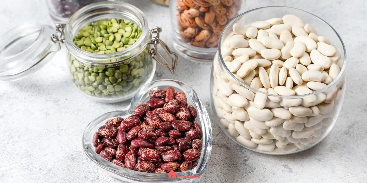storing-beans-long-term
