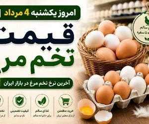 قیمت تخم مرغ امروز ۴ مرداد ۱۴۰۵ | شانه تخم مرغ گران شد یا ارزان؟ + جدول کامل قیمت ها