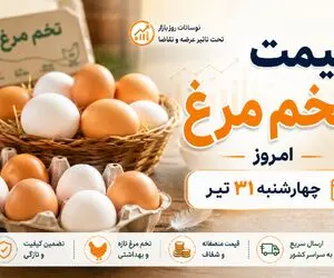 قیمت تخم مرغ امروز چهارشنبه ۳۱ تیر ۱۴۰۵؛ از دیروز تا امروز چه بر سر بازار آمد؟