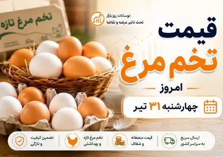 قیمت تخم مرغ امروز چهارشنبه ۳۱ تیر ۱۴۰۵؛ از دیروز تا امروز چه بر سر بازار آمد؟