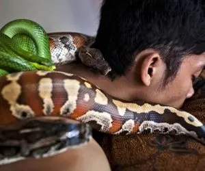 ماساژی متفاوت برای کسانی که جگر شیر دارند!
