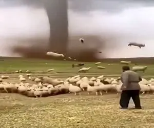 معماری طبیعت؛ گردباد گوسفندا رو هورت کشید