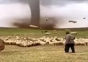 معماری طبیعت؛ گردباد گوسفندا رو هورت کشید