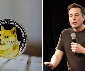 نظرسنجی ایلان ماسک دوج کوین را هم صعودی می کند؟
