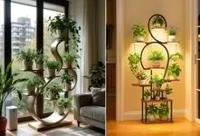 گیاهان آپارتمانی مد شده در 2026؛ نحوه چیدمان شکیل گیاه در نشیمن با توجه به نور و دکور