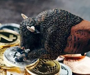 افزایش هولدرها؛مراقب خرس ها باشید!