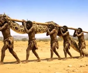 مستند حیات وحش؛ بربرهای برهنه پیتونی که قبیله رو قلع‌وقمع کرده بود ملعبه کردن