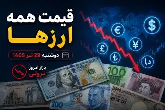 قیمت دلار، یورو و سایر ارزها امروز دوشنبه 29 تیر 1405| ارز در سراشیبی افتاد + علت