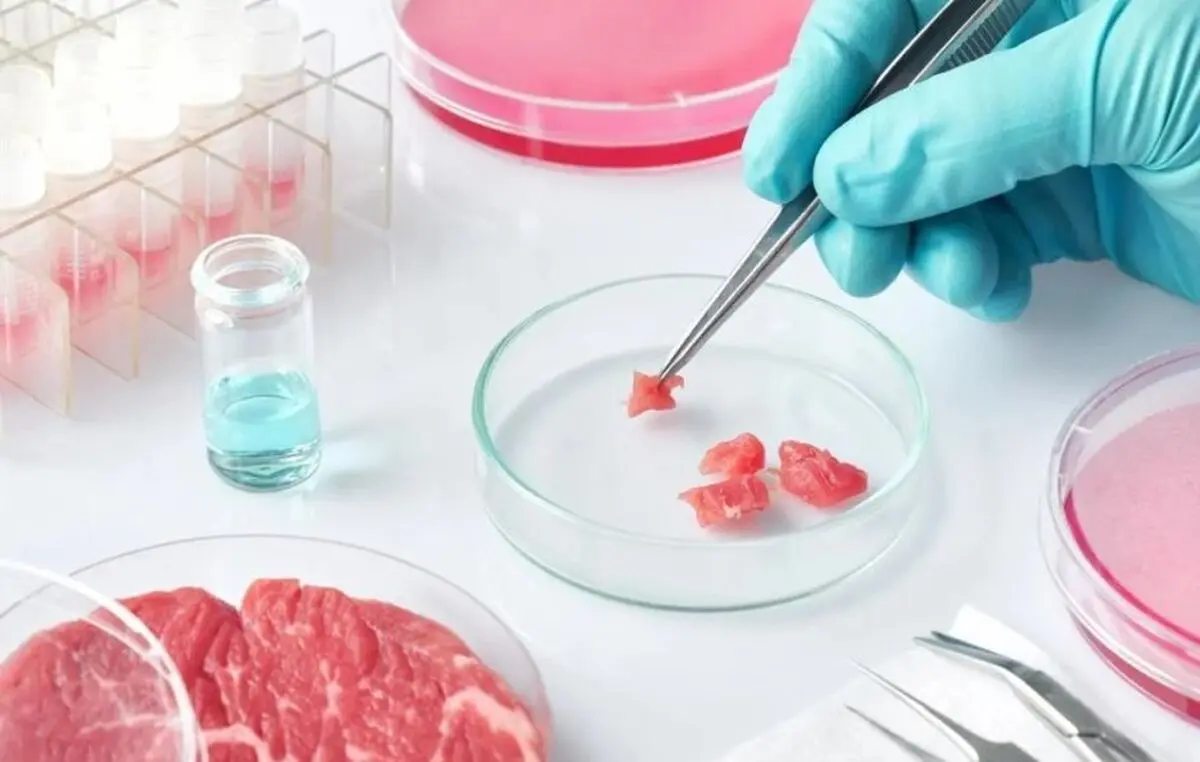 lab-grown-meat