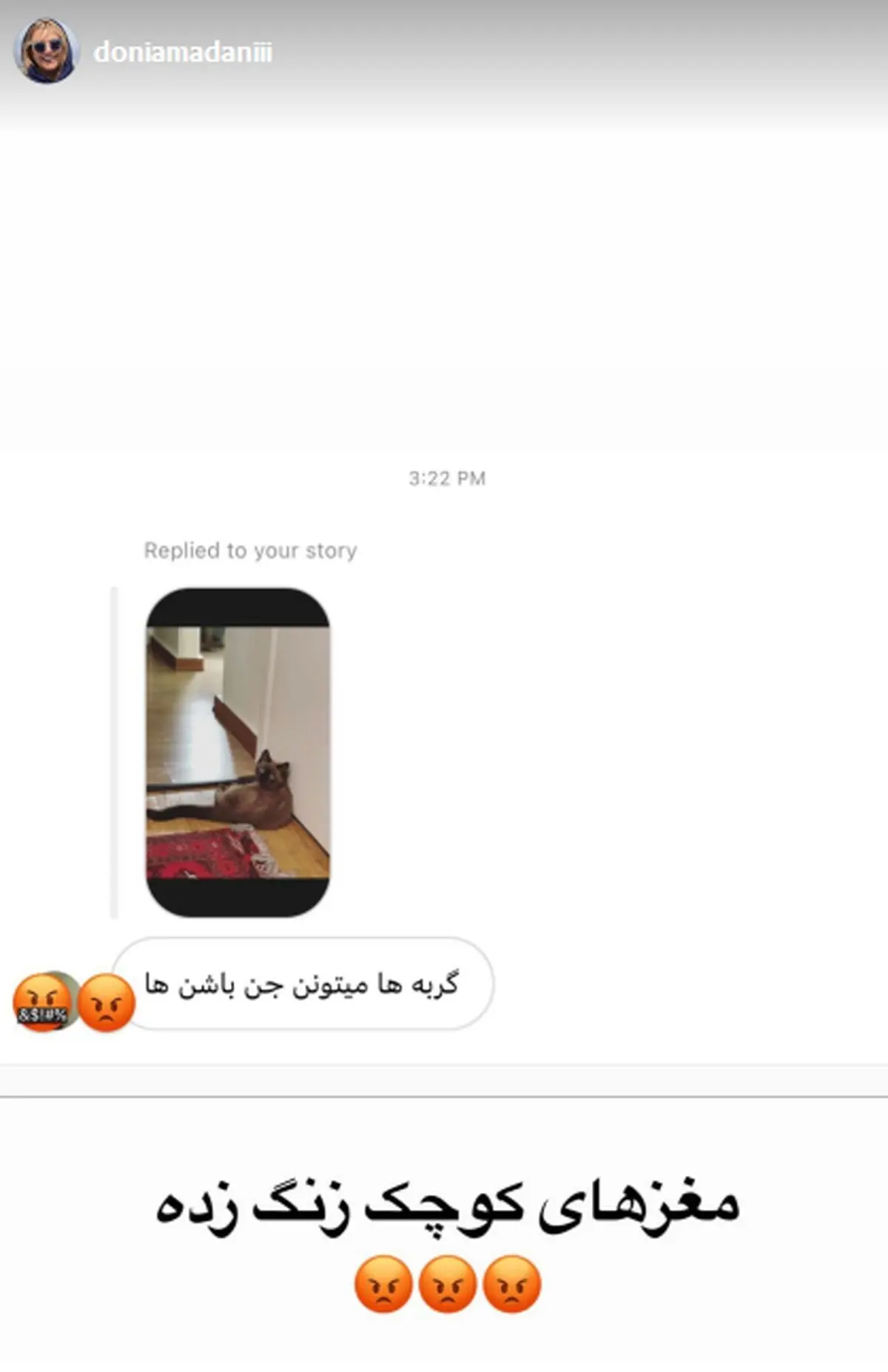 دنیا مدنی