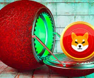 استخوان، شیبااینو را منفجر کرد؟!