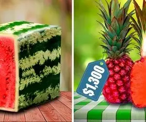 محصولات کشاورزی نوین؛ گران ترین میوه های دنیا که یه گاز ازشون مثل اکسیر میمونه