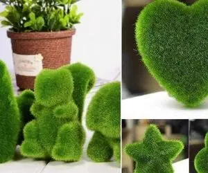 روش های کاشت سبزه موش و خارپشت / اینا خیلی باحالن کلی قیافه هفت سین رو ناناس میکنن