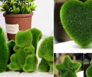 روش های کاشت سبزه موش و خارپشت / اینا خیلی باحالن کلی قیافه هفت سین رو ناناس میکنن