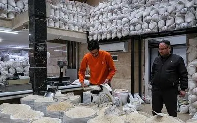 قیمت جدید برنج ایرانی و خارجی در بازار امروز 19 مهر 1404