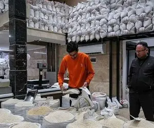 قیمت جدید برنج ایرانی و خارجی در بازار امروز 19 مهر 1404