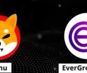 خبری خوشحال کننده برای کاربران شیبااینو!