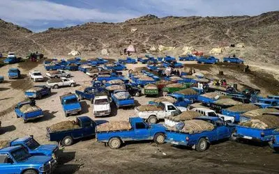 قاچاقچی سوخت کمتر از یک ساعت ۱۱ هزار میلیارد جریمه را واریز کرد!