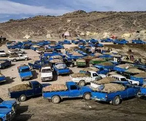 قاچاقچی سوخت کمتر از یک ساعت ۱۱ هزار میلیارد جریمه را واریز کرد!