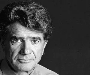 آواز ماندگار؛ آخرین اجرای مرغ سحر با صدای دلنشین استاد شجریان که کل سالن کف و سوت شدن