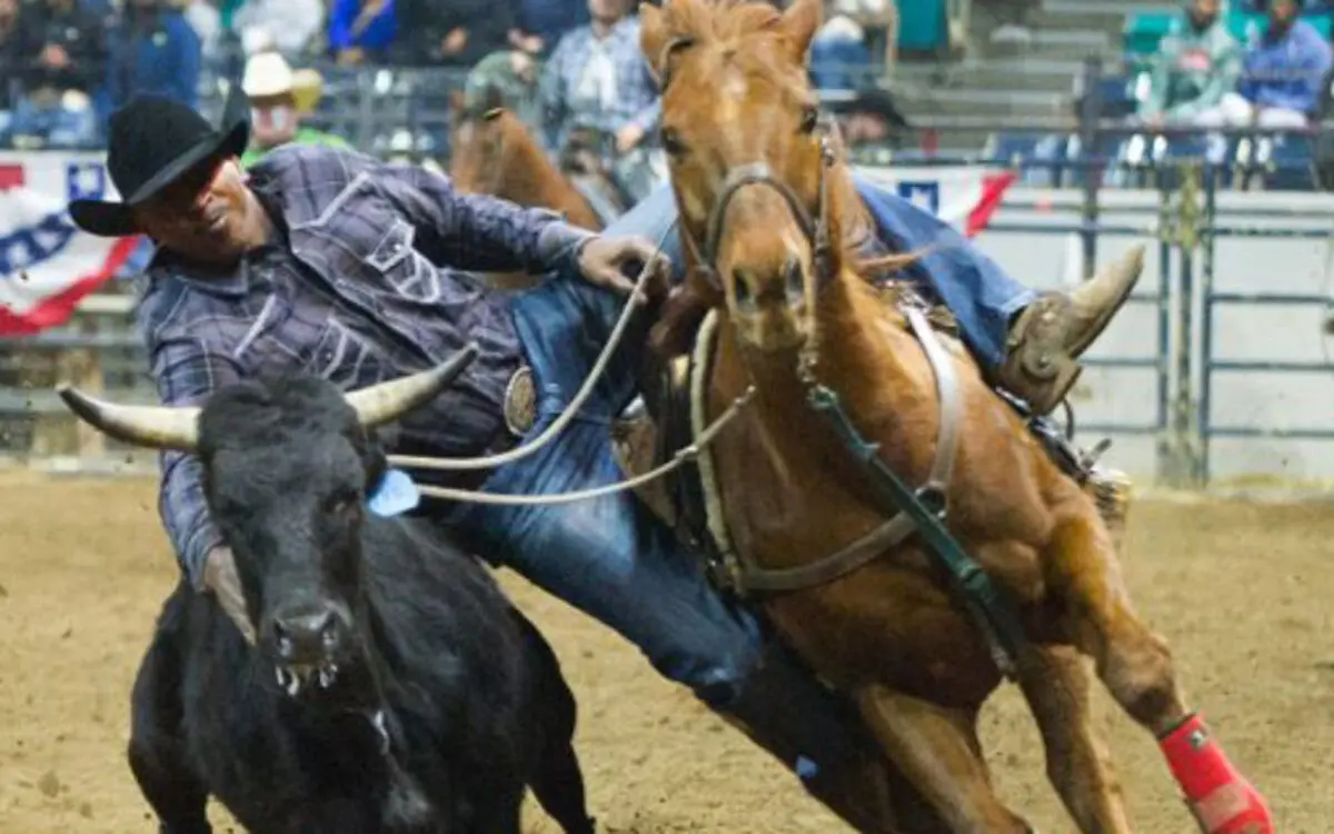 bill-picket-rodeo-gdn-1440x564_c