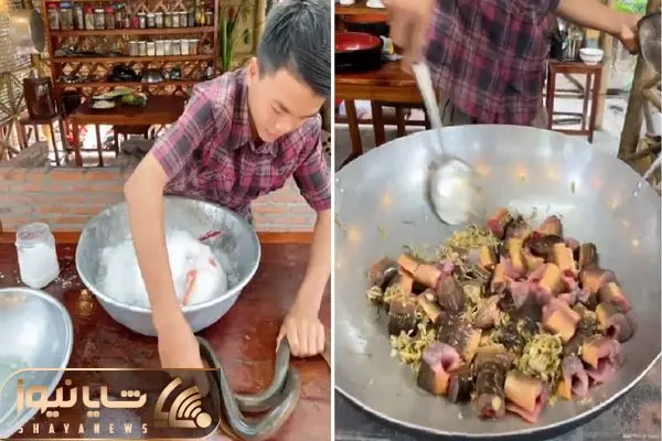 غذای دریایی