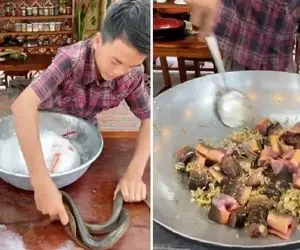 غذای دریایی ؛ مار و زنده زنده مرینت میکنه/ دو دستی افتاده جون مار تا بگیرتش واویلاا