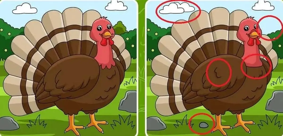 585