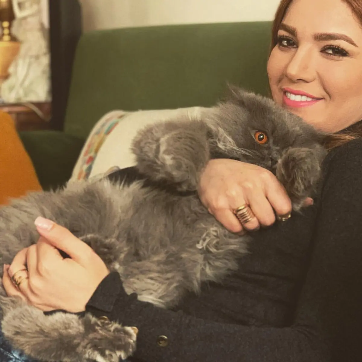 matinsotudeh_1616062433