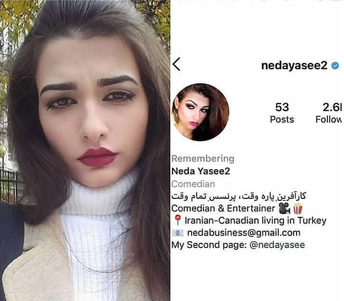 ندا یاسی شایانیوز