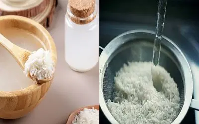 برنج خیس خورده رو چطور نگه داریم که خراب نشه؟/ چند تا نکته ساده که برنج سالم بمونه