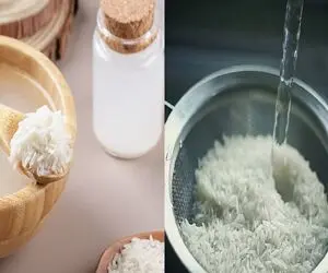 برنج خیس خورده رو چطور نگه داریم که خراب نشه؟/ چند تا نکته ساده که برنج سالم بمونه